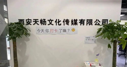 政策服務(wù)雙管齊下，數(shù)字文創(chuàng)賦能未來(lái) 曲江369園區(qū)助力企業(yè)紓困發(fā)展